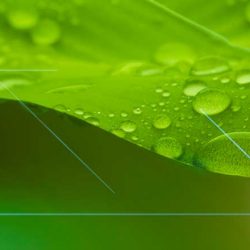 Equipo destinado a la producción de100 L/DIA de agua osmotizada